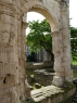 Rhone 227